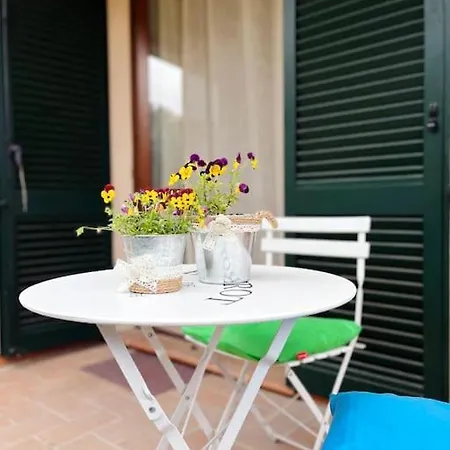 Apartmán Gli Ulivi Di Mafalda - Garden * Parking * Centre *