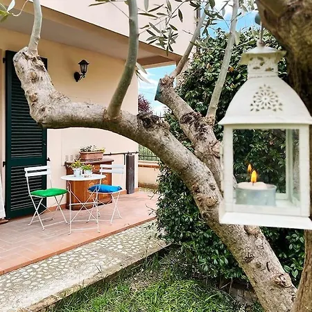 Gli Ulivi Di Mafalda - Garden * Parking * Centre Apartmán Spello